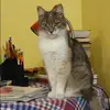 Отзыв от Яна Шишкина
